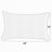 Zoa Rectangular Indoor/Outdoor Lumbar Pillow-1255702748