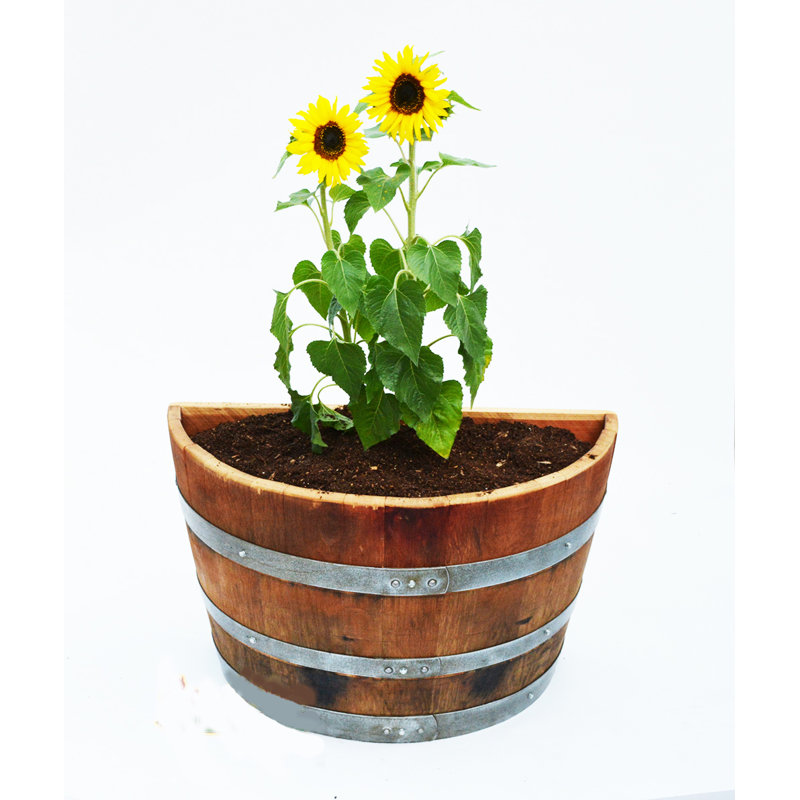 Pot à fleurs Oakwood Quarter, l 26 po x P 13 po x H 18 po