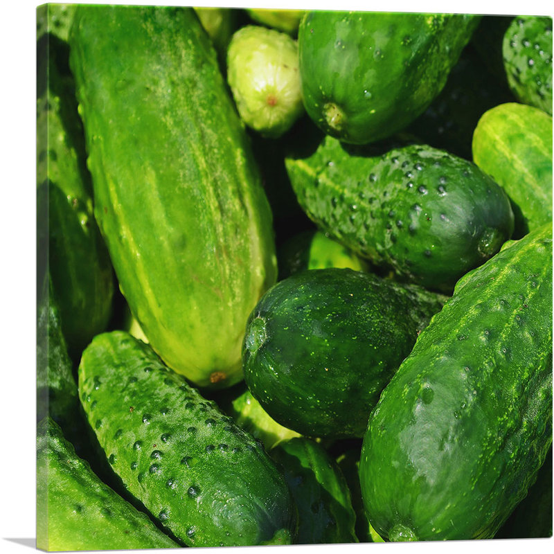 Motif de concombres, impression de photographie sur toile tendue, H 12 po x l 12 po x P 0,75 po