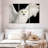 White Owl-107944691