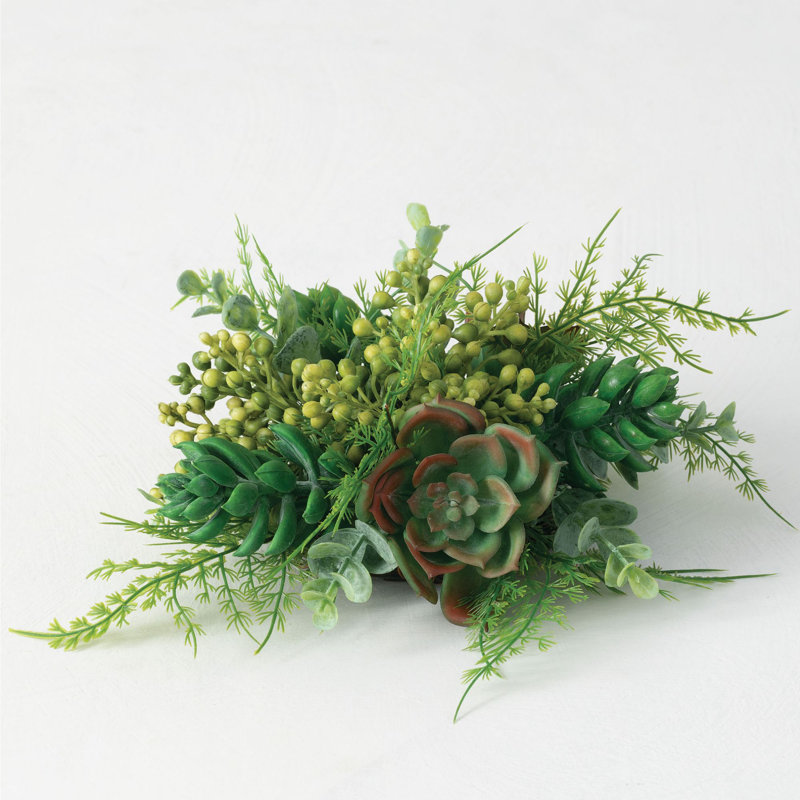 Succulent demi-orb