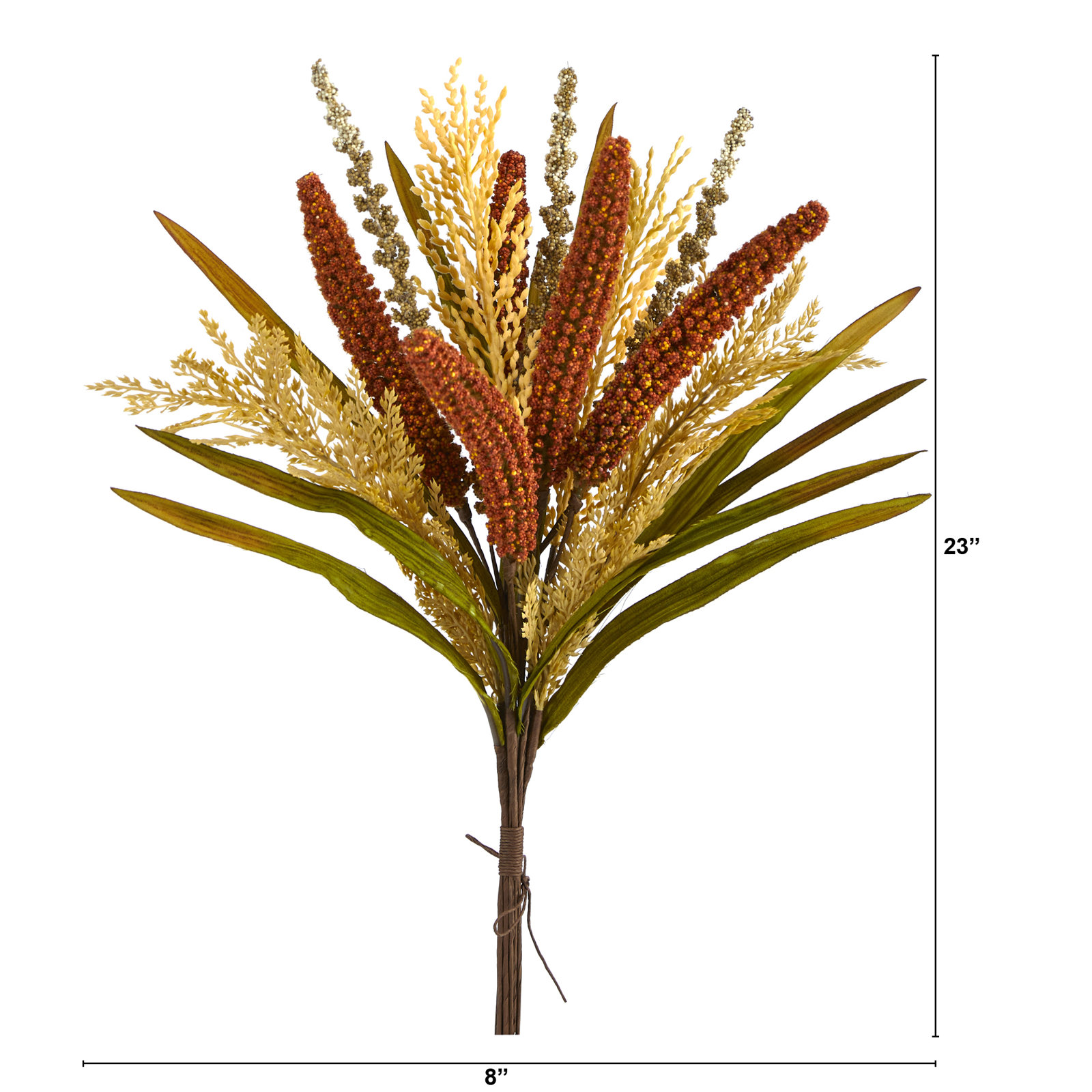 Sorghum Arrangement