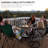 Round Steel Wood Burning Smokeless Fire Pit