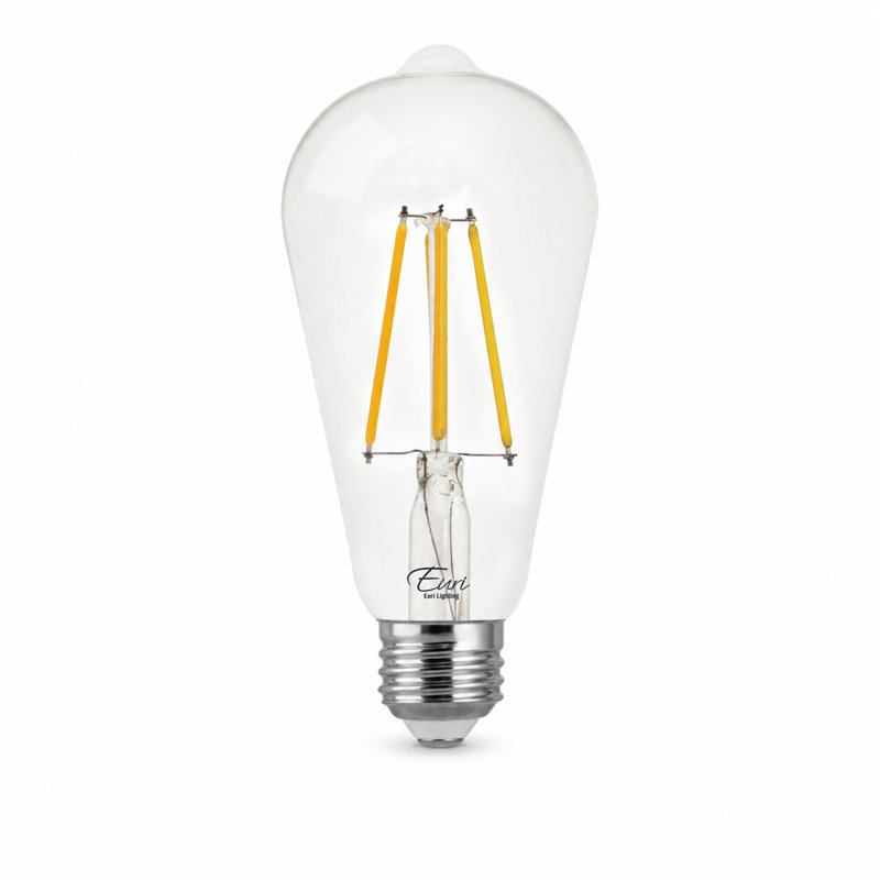 Ampoule DEL à filament Euri Lighting ST19, 7 W, 800 lm, équivalent 75 W, 2700 K, culot E26, dimmable, étanche, homologuée UL