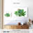 Harnek Pleasing Succulent Plants-107700857