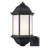 Driss 1 - Light Outdoor Wall Lantern
