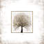 Arbre carré - Peinture-675797787-687906370-687906369