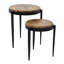 Tables gigognes 2 pièces Phelps