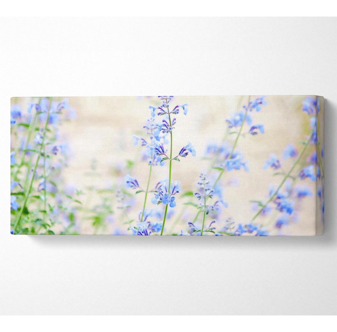 Blaue kleine Blumen - Kunstdrucke auf Leinwand