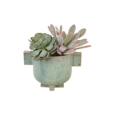 Panda, poule et poulets succulents dans un pot à fleurs turquoise