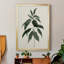 Toile encadrée de qualité supérieure Soft Greenery II - prête à être accrochée-401308644-401308645