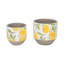 Jardinières en ciment à motif citronné 7 "et 6" - jaune, blanc et gris Culliton - ensemble de 2 décorations de jardin intérieur / extérieur
