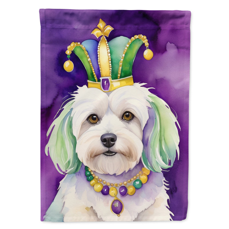 Double Sided 40'' H x 28'' W Polyester Mardi Gras House Flag