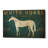 'White Horse No Kentucky' by Ryan Fowler, Canvas Wall Art-1555791786