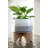 Charlack Pot Planter