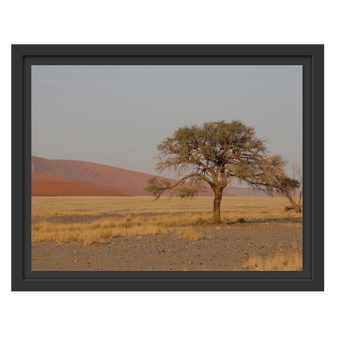 Gerahmtes Wandbild einzelner Baum in Wüste