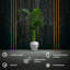 Handmade Planter-52455012