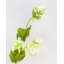 Tige de houblon artificielle 26,5 po