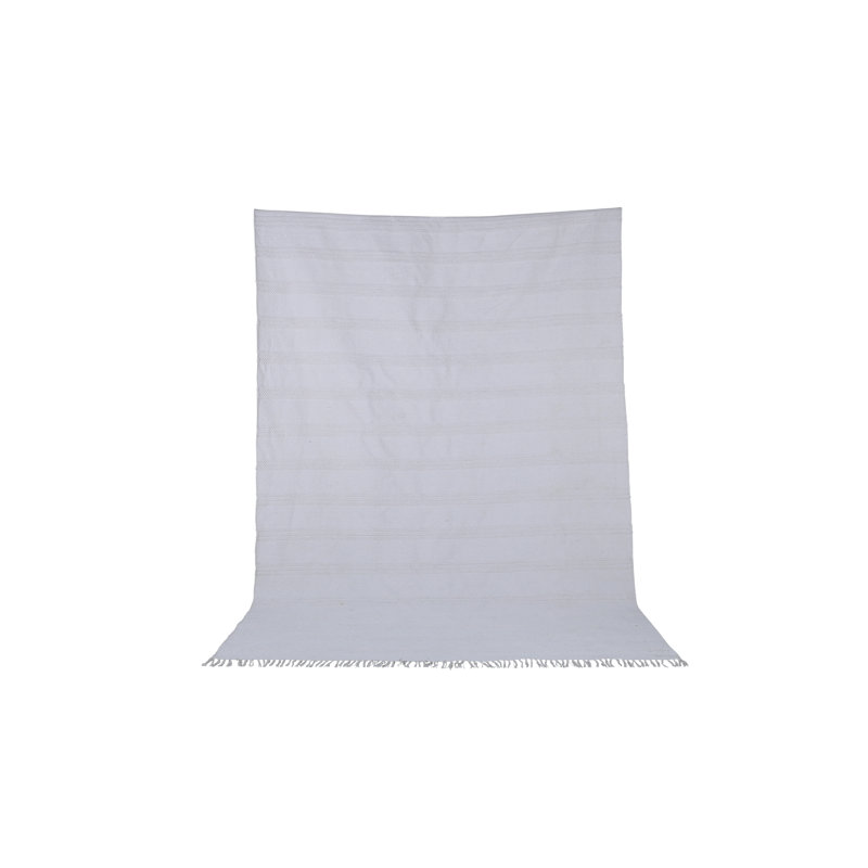 Acworth Hand Woven Area Rug, Rectangle 200 x 300cm