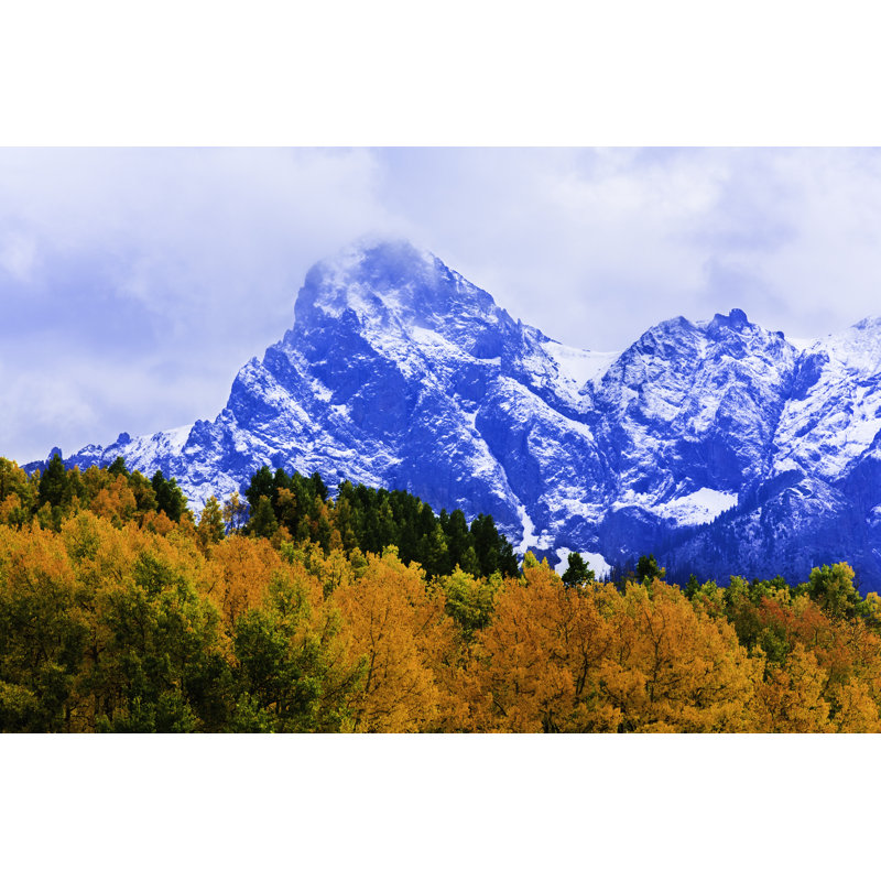 Colorado Autumn Foliage par Dszc, H 24 po x l 36 po