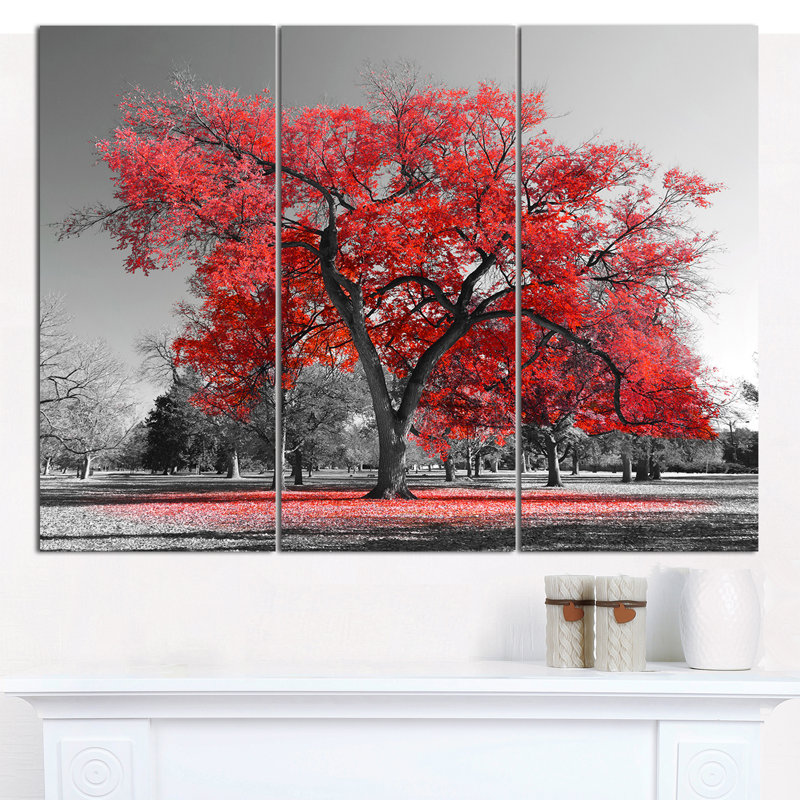 Big Red Tree on Foggy Day Landscape Canvas Art Print, 36"x28"