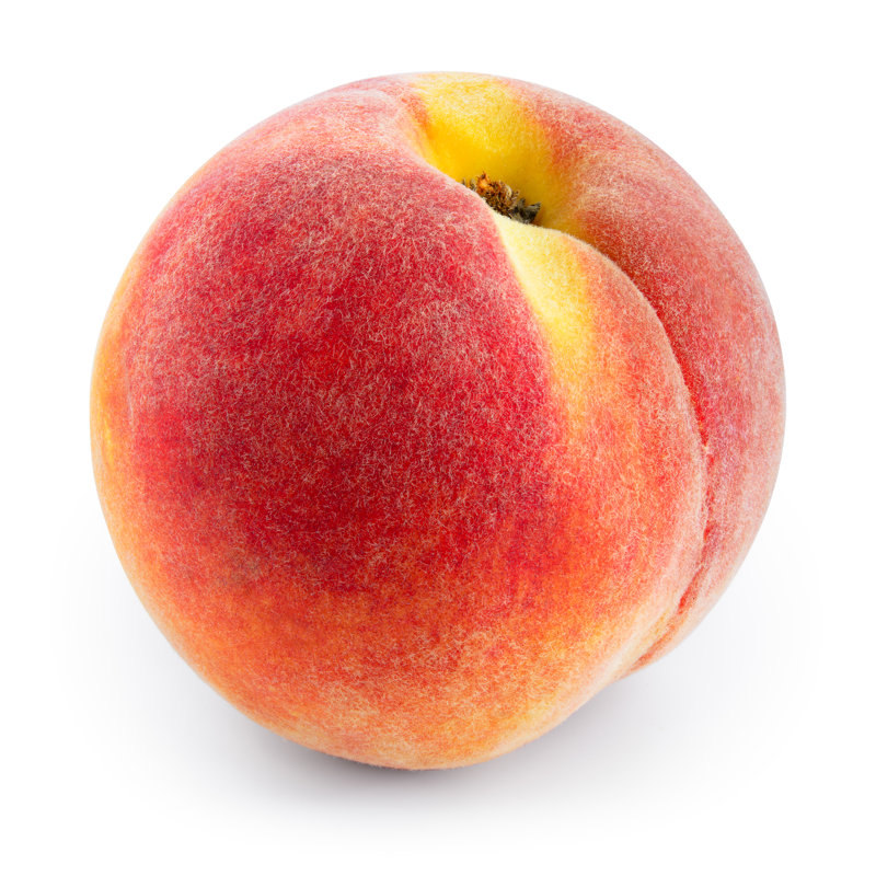 Fresh Peach by Tim UR - Wrapped Canvas Print, 30cm H x 30cm W