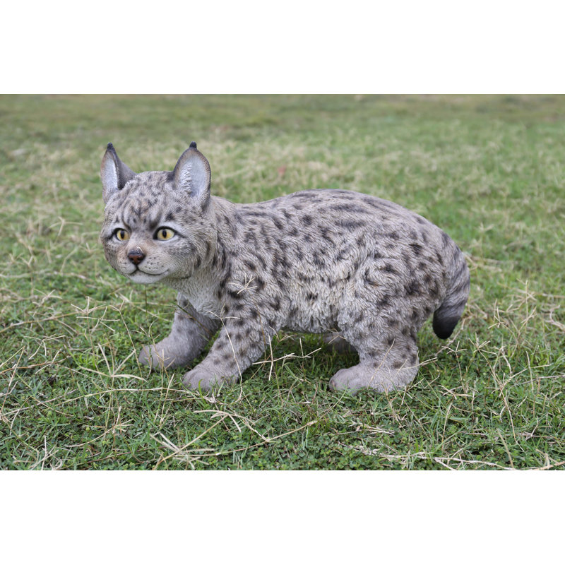 Statue de lynx chaton