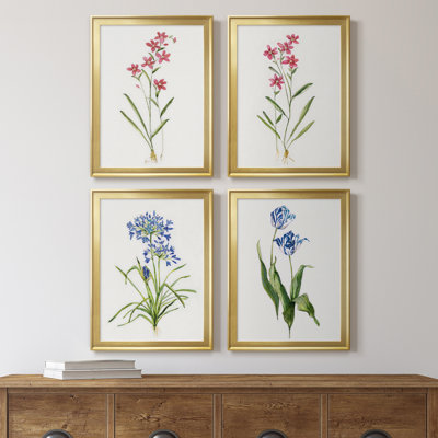 " Delicate Pink I " 4 - Pieces Painting Print