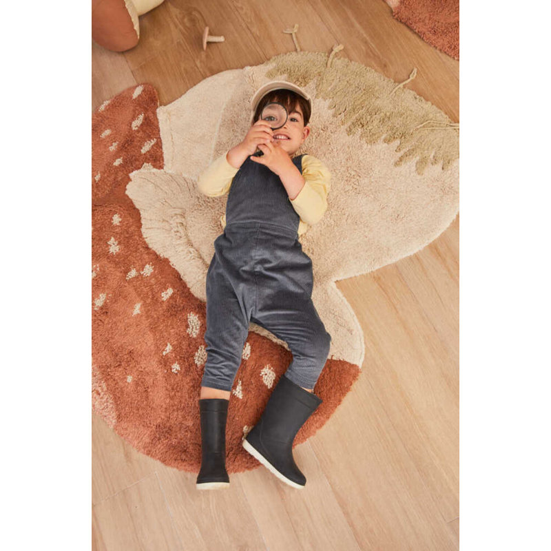 Washable Rug Boletus
