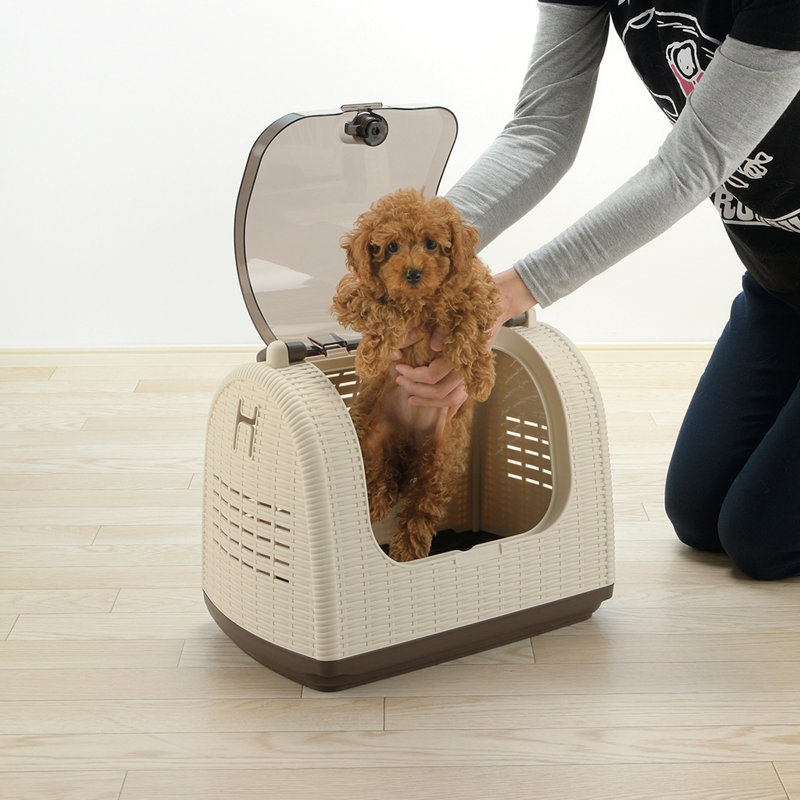 Faux Wicker Pet Carrier, Ivory