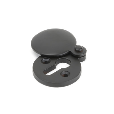 Escutcheon Satin Chrome