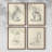 House Cat I Framed Print - Set of 4-374469271-374469256