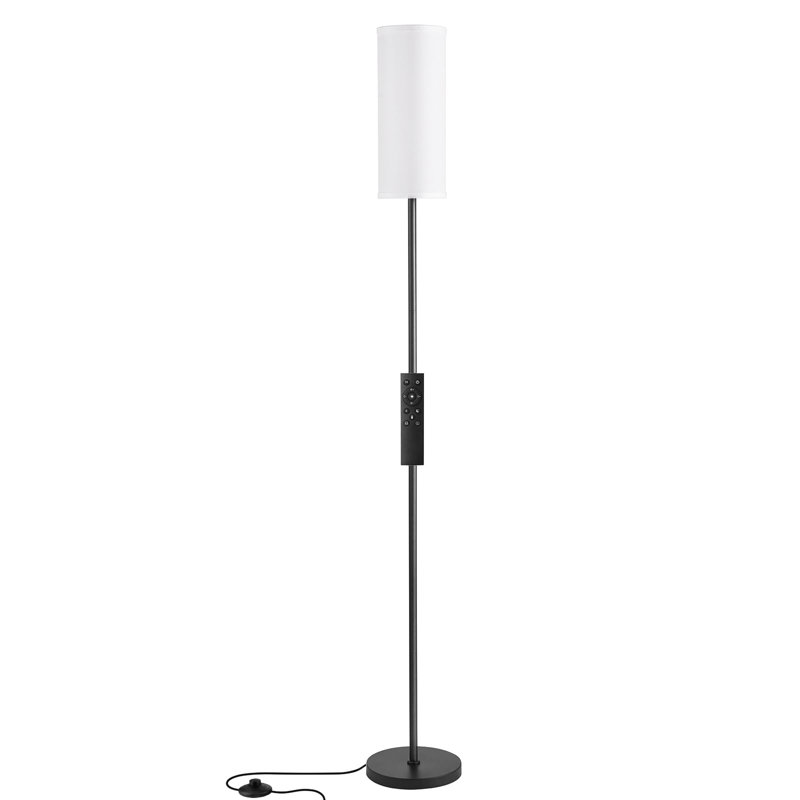 Lampe sur pied moderne de 64 po avec télécommande et gradation continue de la température et de la luminosité, Noir