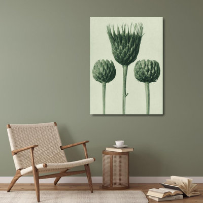 Art sur toile, Blatfeldt, Karl: Serratula Nudicaulis