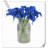 20 pièces de fleurs de lys Calla-945559914