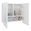 Armoire à pharmacie Patience, deux portes battantes, trois tablettes spacieuses, design moderne et minimaliste, blanc