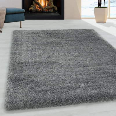 Beate Solid Colour Shag Area Rug