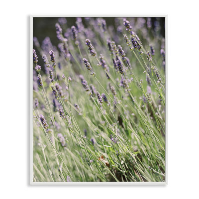 Art de jardin champêtre lilas par Justine Milton bg-081
