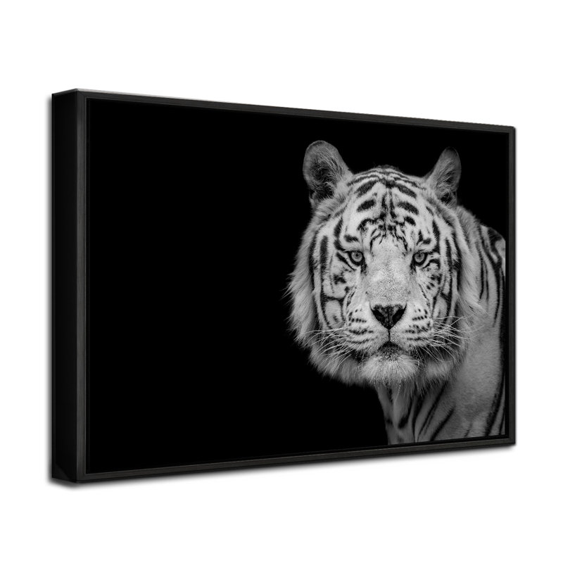 «Bengal White Tiger», reproduction d'art encadrée par Nauzet Baez, Papier avec cadre noir, H 12 po x l 18 po