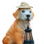 Solar Labrador Dog Garden Ornament
