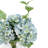 Hydrangea Floral Arrangements in Glass Vase