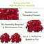 Arrangement floral poinsettia-105854053