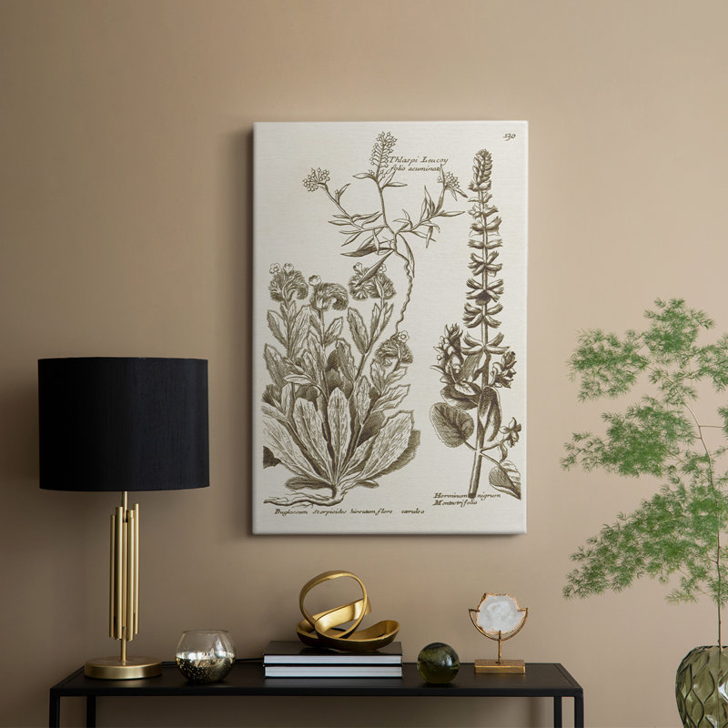 Sépia Botanical Journal IV - galerie sur mesure Cavas