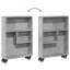 Ricaria 68cm H x 48cm W Bookcase-1511602891