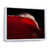 White Floater Framed