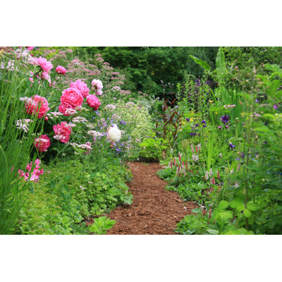 Cottage Garden - Wrapped Canvas Print