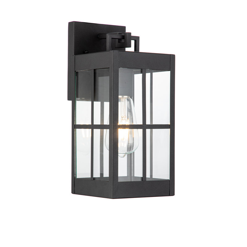 Amara Transitional Outdoor Wall sconces 13-in Clear Glass-Matte Black