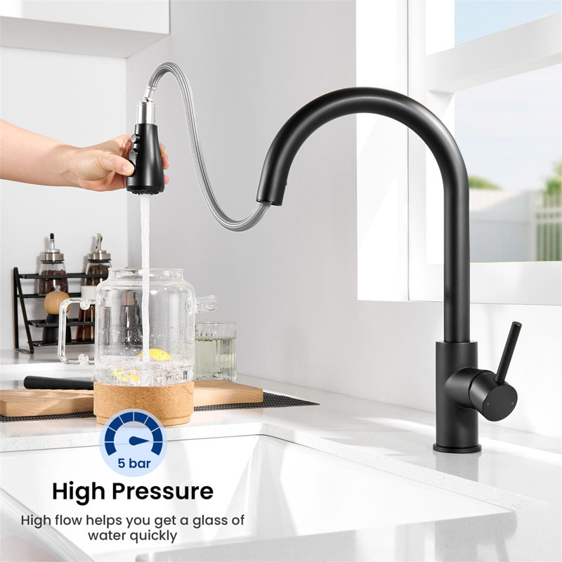 Belfry Kitchen Kitchen Faucet, Matte Black