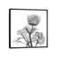 Lonely Anemone by Albert Koetsier - Gallery-Wrapped Canvas Giclée on Canvas-1822955203-1849970651