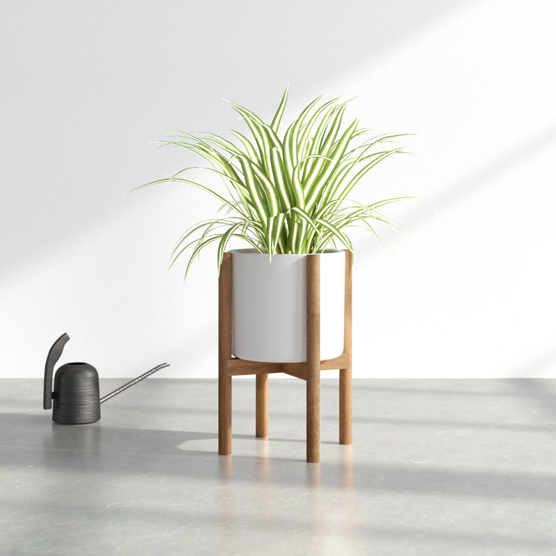 Dominic Pot Planter, White/Special Walnut